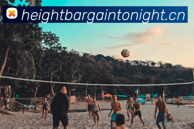 kaiyun云开官网平台生态图