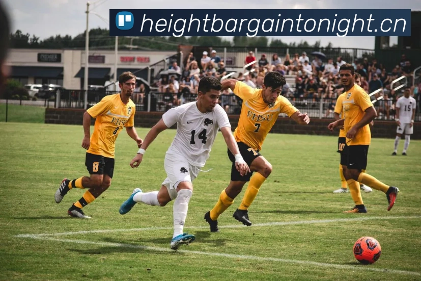 kaiyun云开官网APP 封面图